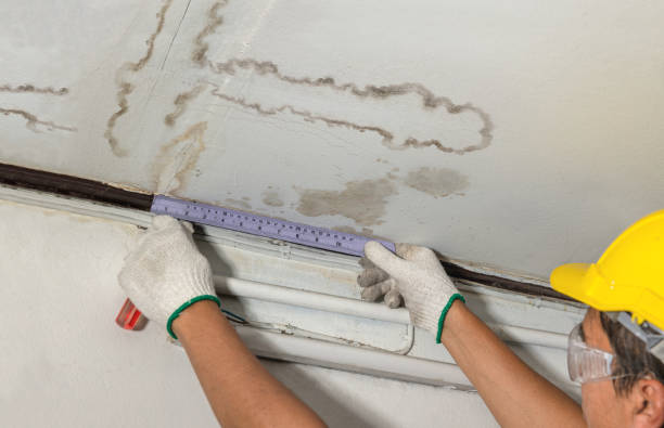 Reliable Water Damage contractor in Elizabeth, NJ by Water Damage Irwin